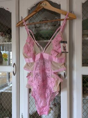 Sheer Pink Lace Teddy Bodysuit with Floral Appliqué Lingerie Nude